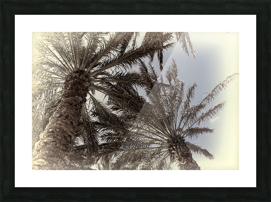 palm trees artistic Picture Frame print