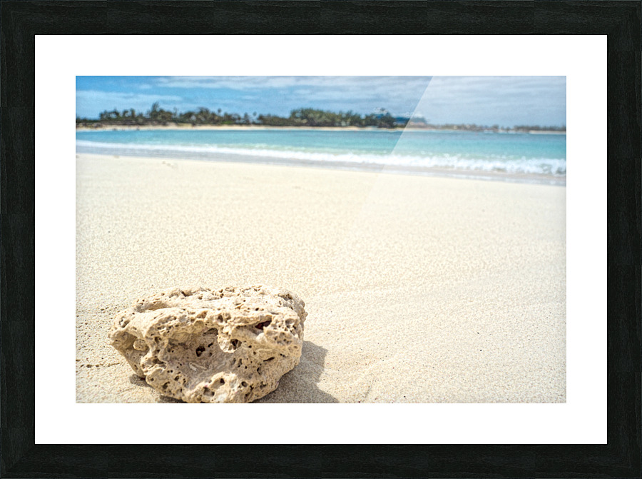 shell 2 Picture Frame print