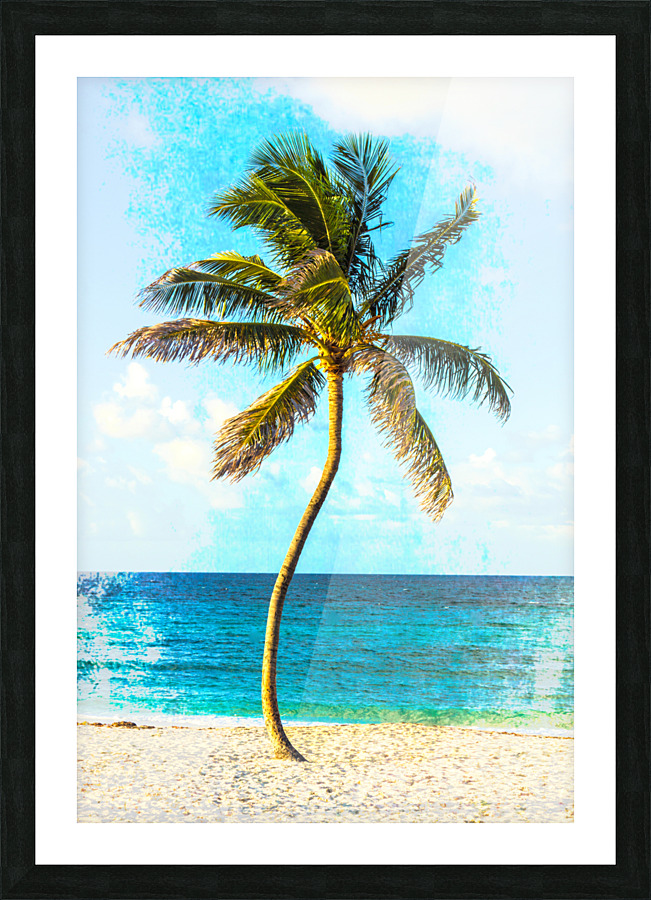 palm color 3 Picture Frame print