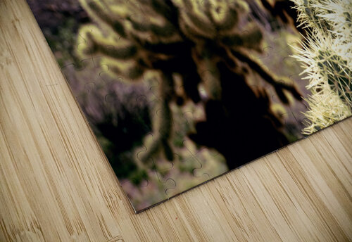 cactus bush 7 realimpressions puzzle