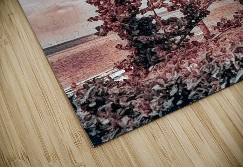 single palm 3 realimpressions puzzle