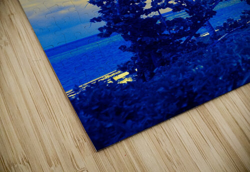 single palm 5 realimpressions puzzle
