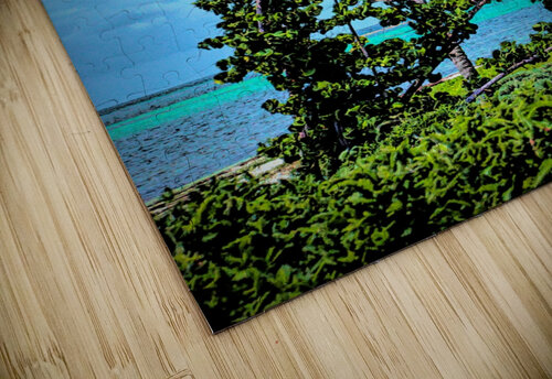 single palm 2 realimpressions puzzle