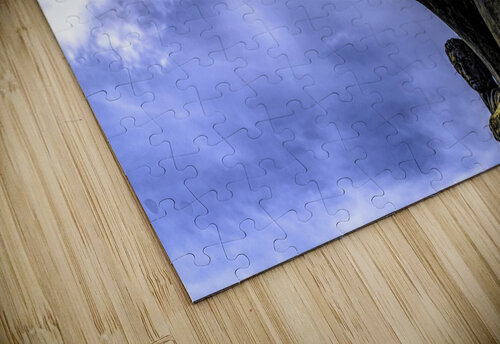 horse power 2 realimpressions puzzle