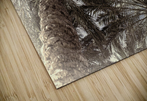 palm trees artistic realimpressions puzzle
