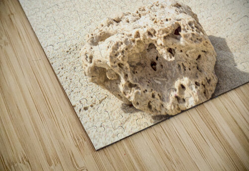 shell 2 realimpressions puzzle