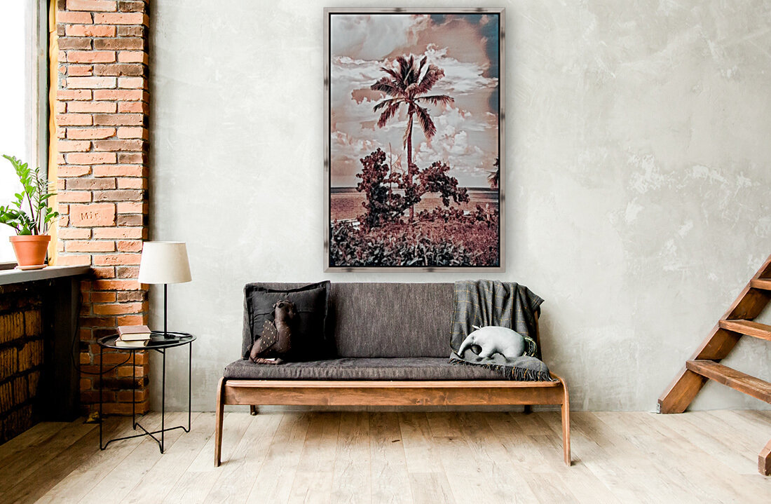 single palm 3 Reproduction