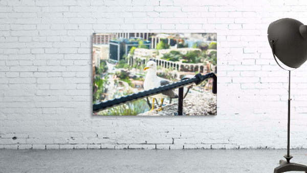 monaco seagul studio 4 Wall Preview