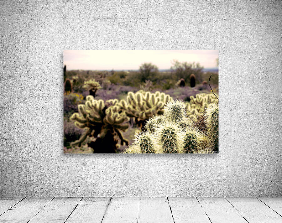cactus bush 7 Wall Preview