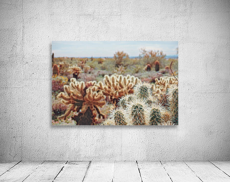 cactus bush 6 Wall Preview