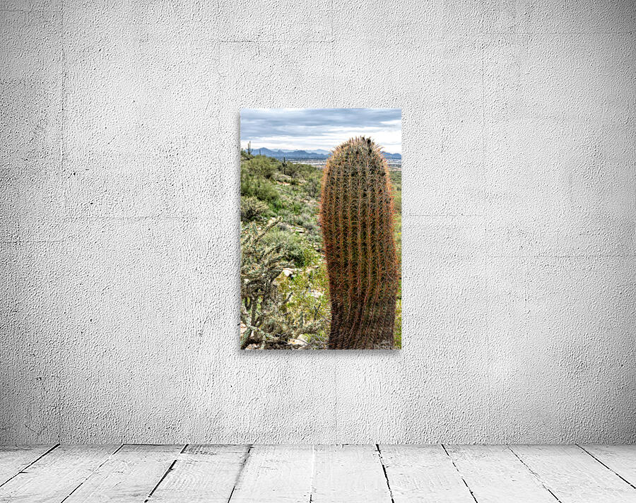 DSC05652 studio 2 Wall Preview