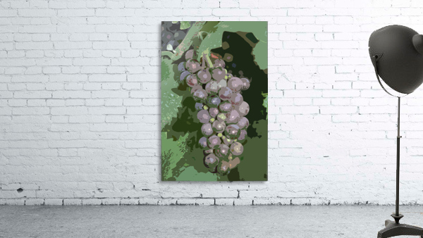 grapes 4 canvas Wall Preview