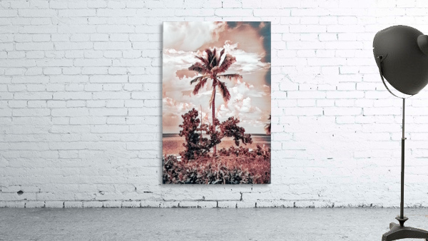 single palm 3 Wall Preview