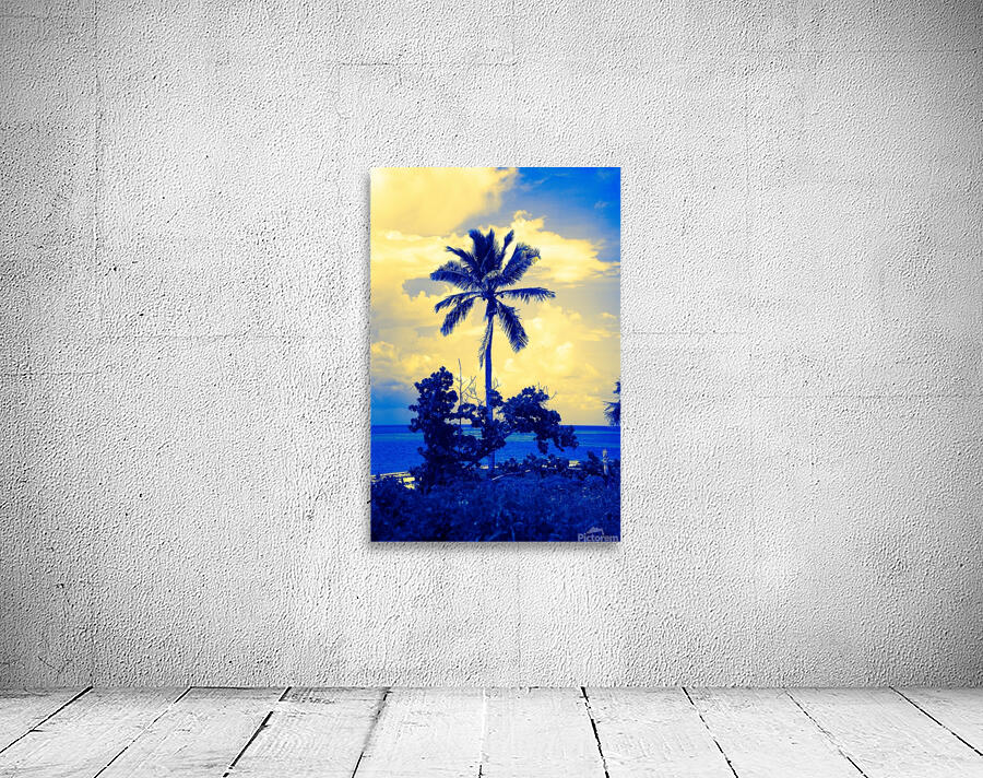 single palm 5 Wall Preview