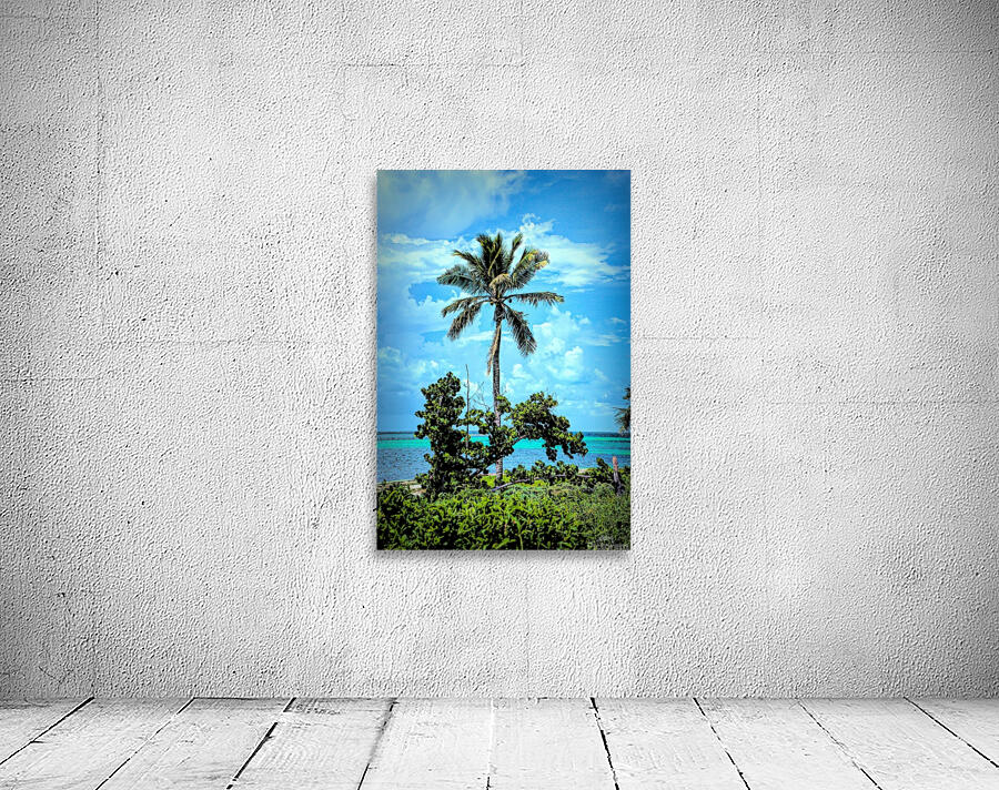 single palm 2 Wall Preview