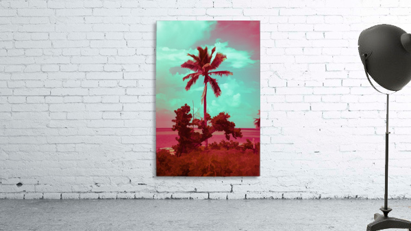 single palm 12 Wall Preview