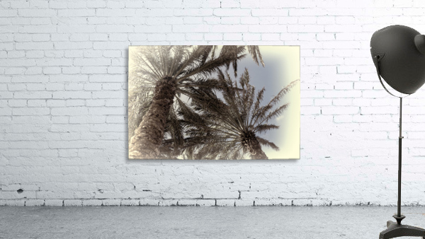 palm trees artistic Wall Preview