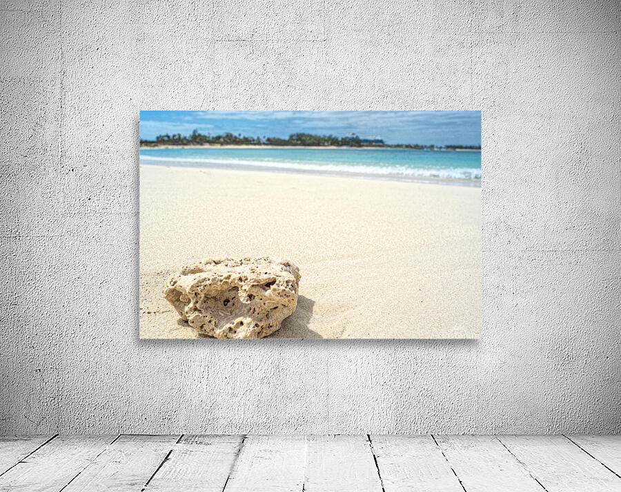 shell 2 Wall Preview