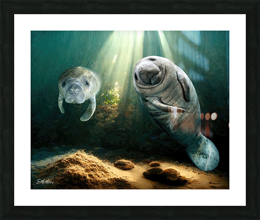 Manatees Picture Frame print