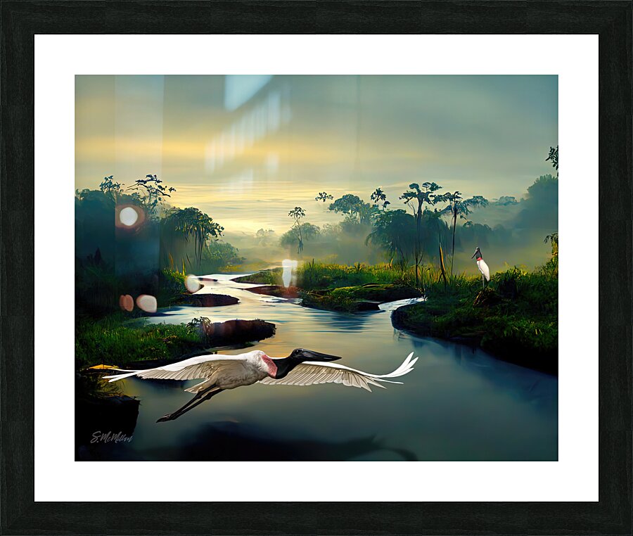 Jabiru  Picture Frame print