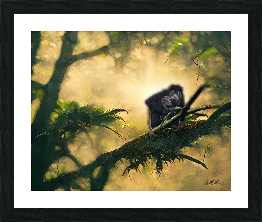 Howler Monkey and Baby Picture Frame print