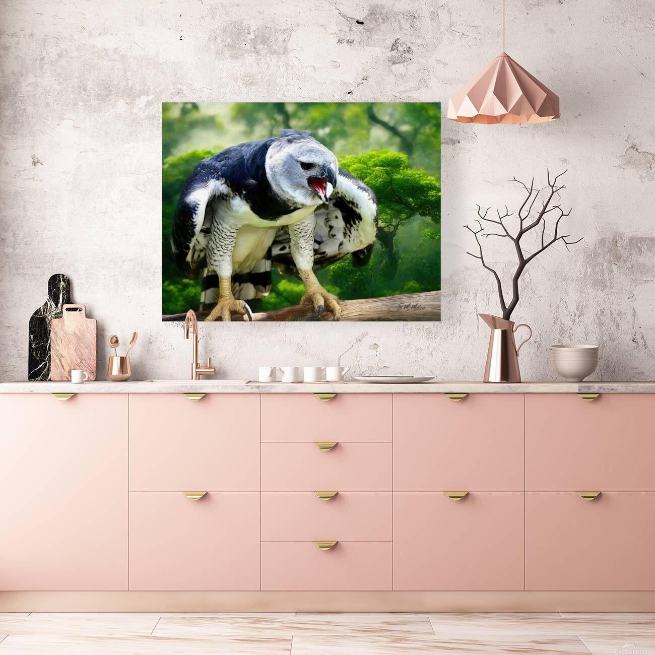 Harpy Eagle Reproduction