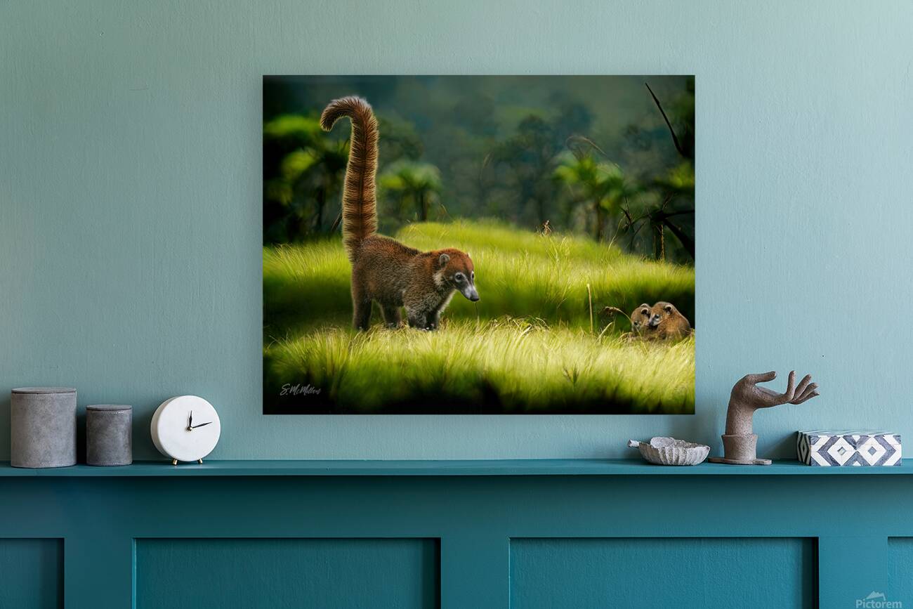 Coatimundi Family Reproduction