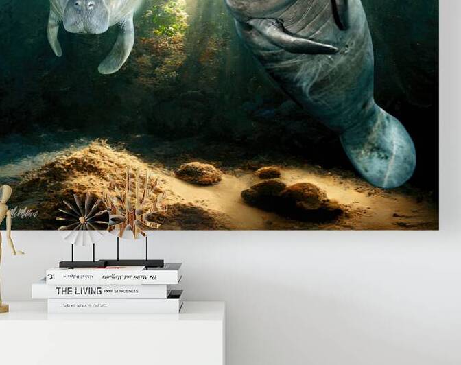 Manatees Reproduction