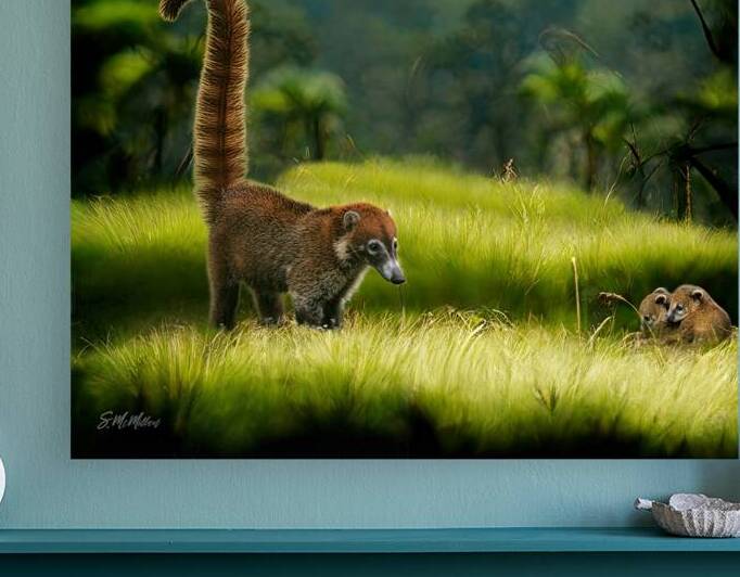 Coatimundi Family by Susanne McMillan Art