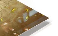 Wall Art HD Metal print