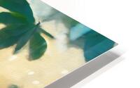 Aracari  Impression metal HD