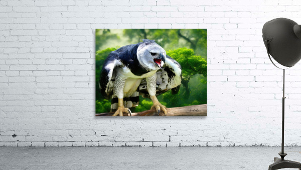 Harpy Eagle Wall Preview