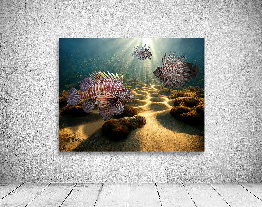 Lionfish Wall Preview