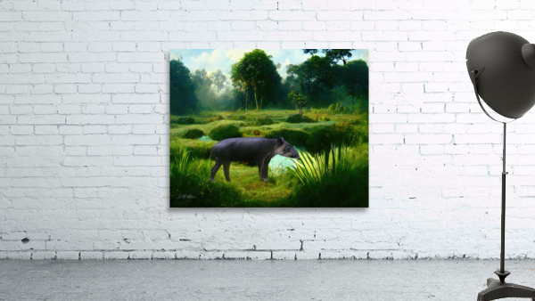 Tapir  Wall Preview