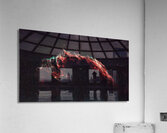 Eastern Veil Nebula Acrylic Print