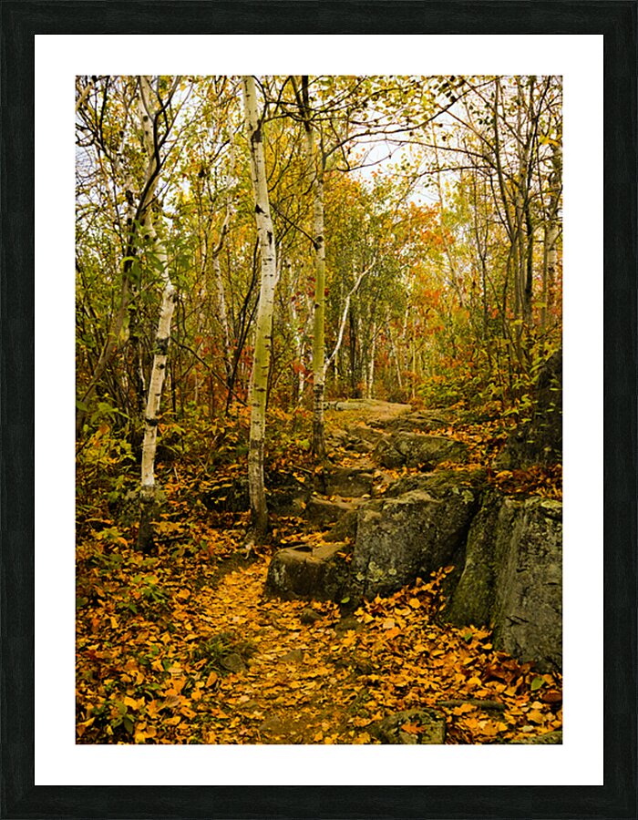 Autumn Hike Picture Frame print
