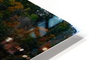 Yellow Tree HD Metal print