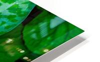 Trillium Flower HD Metal print