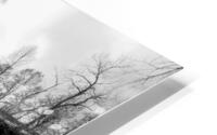 Winter Minnehaha HD Metal print
