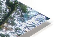 Cloud Forest Tree HD Metal print