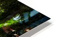 Quetzal  HD Metal print