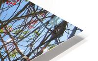Bird in a Tree HD Metal print