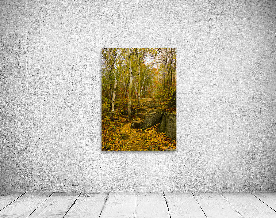 Autumn Hike Wall Preview