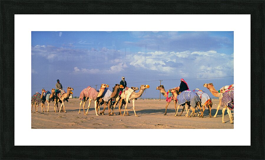  Fine Art print