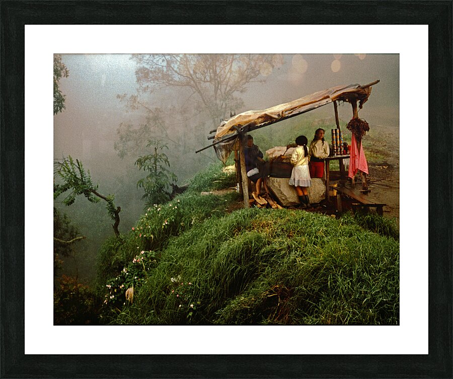  Fine Art print