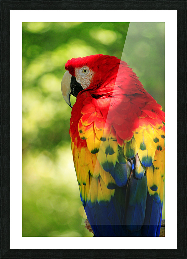 You Talking To Me Picture Frame print