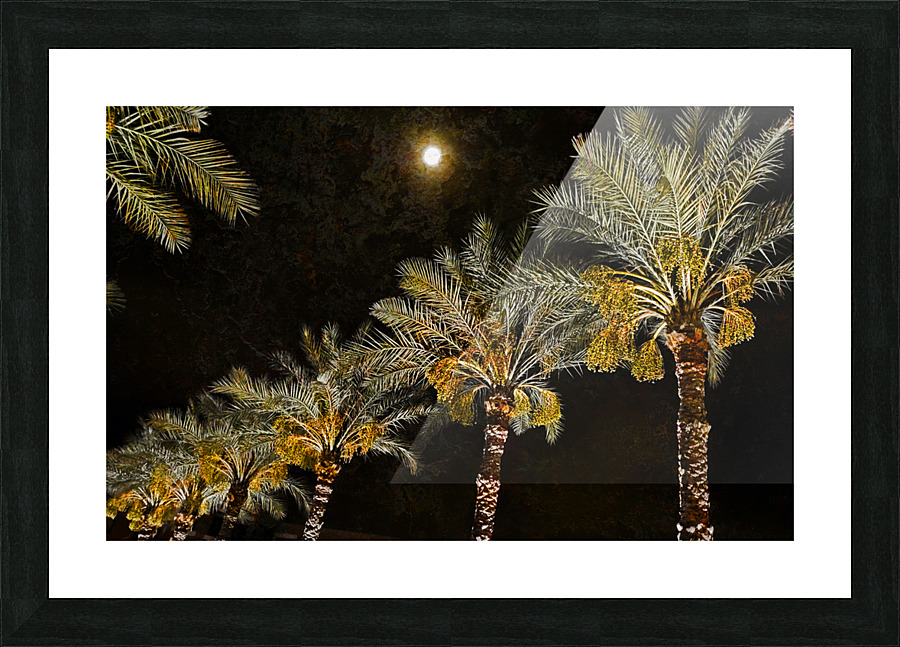 Phoenix Palms Picture Frame print