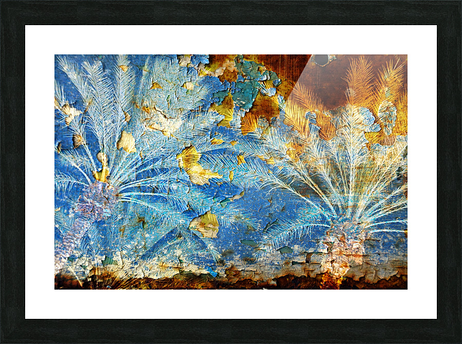  Fine Art print