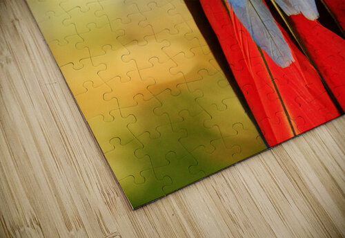Perret Tail Lawrence Costales puzzle