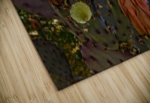 Nopal Flower Lawrence Costales puzzle